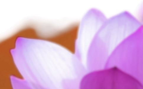 关于夏至的古诗有哪些