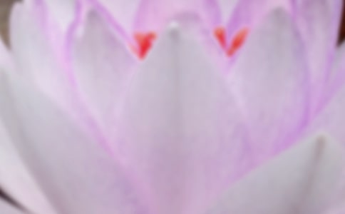 夏至的唯美古诗