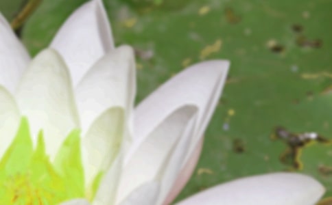 写夏至的古诗（精选10首）