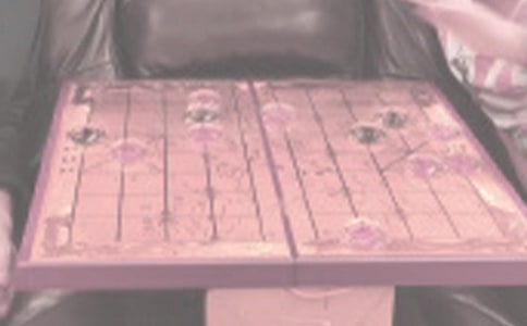 下象棋日记范文集锦9篇