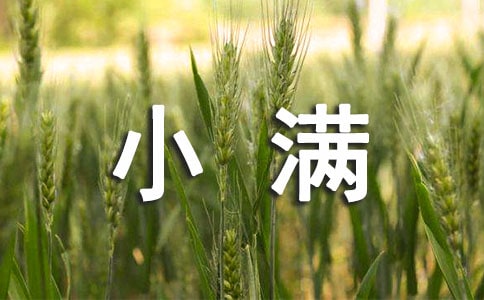 小满的古诗