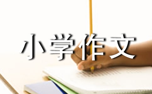 说说我自己小学作文12篇