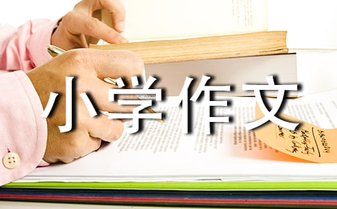 【推荐】我的小秘密小学作文