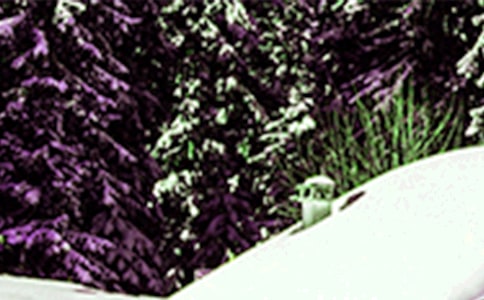 赞美小雪的古诗