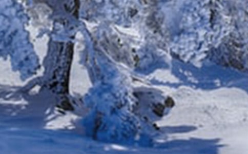 24节气之小雪的日记优秀