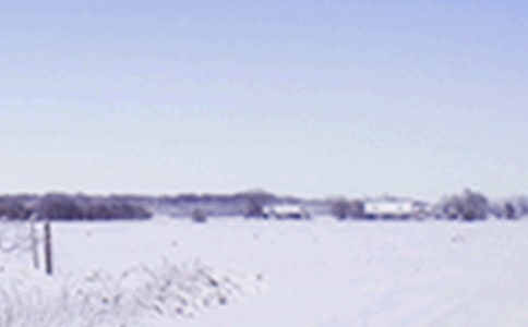 小雪节气喝茶的说说