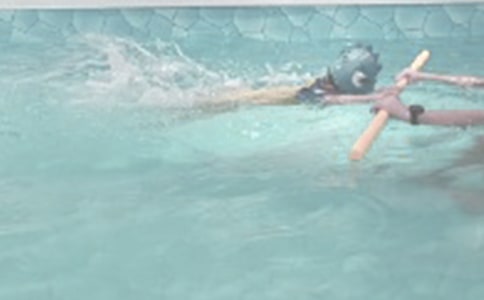 学游泳日记汇总9篇