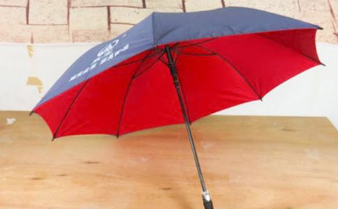 雨伞的散文随笔