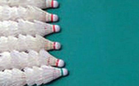 学打羽毛球的日记