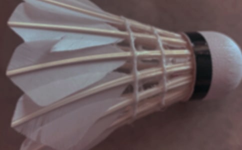 打羽毛球的日记集合8篇