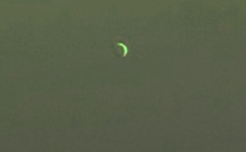 关于月亮的古诗通用15篇