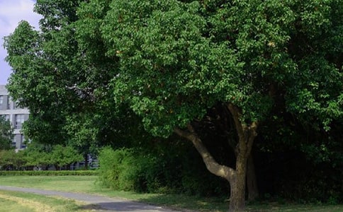 热门朋友圈早安说说130句精选