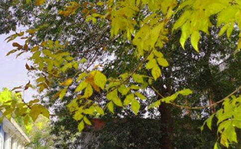 九月最后一天早安说说