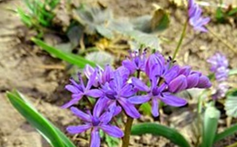 下雨天正能量早安说说