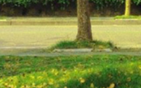 流行治愈早安说说汇总（通用145句）