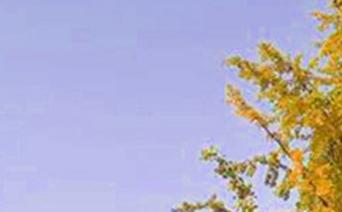 推荐暖心早安说说大全(通用195句)