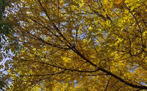 经典唯美早安说说30句