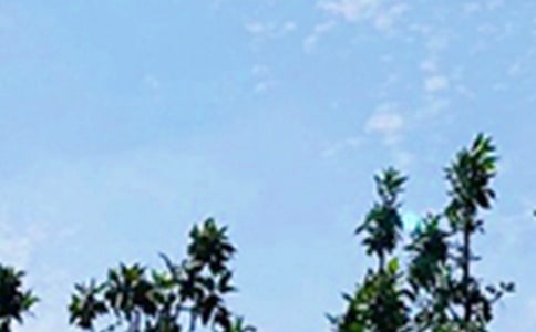 浪漫的早安说说