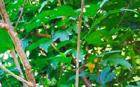 唯美早安说说大全80句