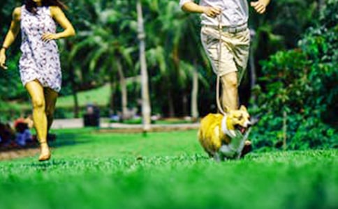 周末的日记14篇