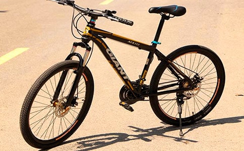 【精品】学骑自行车日记四篇