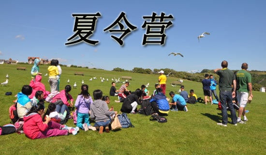 小学生夏令营日记